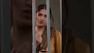 #PrapanchaJishnu #RajaRajaChora #SreeVishnu #MeghaAkash #VaikomVijayalakshmi #Shorts
