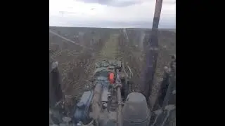 сев ячменя по озимой пшенице вид из окна мтз-82 результат как было и как стало весна 2024г