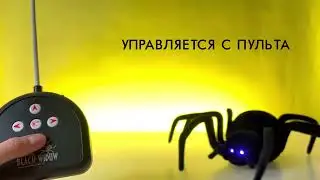 Паук на радиоуправлении