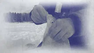 DEAFNESS IS CANCELED. The GOLDEN hole. THE FISHING LINES ARE RINGING and TEARING. BREAM attack.