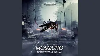 Mosquito