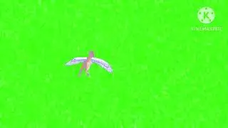 Flying Unicorn 🦄 Green screen #copyrightfree green screen flying animal