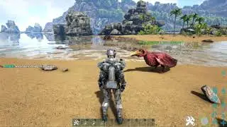 How to spawn a pelagornis and the saddle