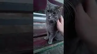 Олег - серый притвора 🤗