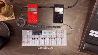 canteloupe || live lofi hip hop || teenage engineering op-1, po-33 k.o! & po-14 sub