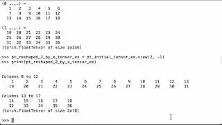 Infer Dimensions While Reshaping A PyTorch Tensor