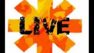 Red Hot Chili Peppers- Me And My Friends (Live)