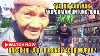 KAKEK INI JUAL BURUNG GACOR CUMAN 140RB❗#vlog #viral #burung #kicau #hewan #kicau #kicaumania #fypシ