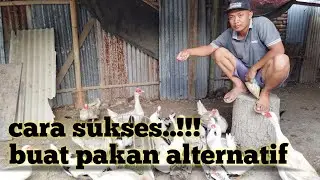 CARA SUKSES TERNAK ENTOK !! CARA BUAT PAKAN ALTERNATIF PASTI UNTUNG
