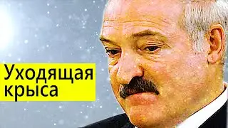 Пожелание уходящей КРЫСЕ (Нехта, МКБ, Масловский, Шапоров, Хлусня)