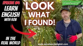 LOOK what I found 👀  Learn English in the Real World with Rob Woodward – Episode 4
