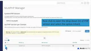How to Reset the PHP Version to the Default Version, Using cPanel with BLUE ARCTIC