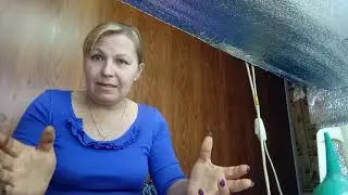 Посев виолы... тонкости посева и выращевания...
