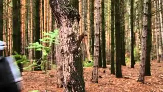 WRONG TURN 6: LAST RESORT FIRST OFFICIAL TEASER TRAILER HORROR MOVIE