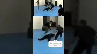 What technique is this? #martialartshumor