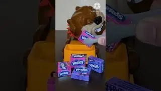 OMG 😲 Shocking  Beware of dog 🐕 😳 Mad dog don't get his Nerds #shorts