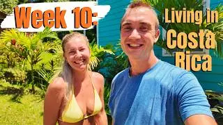 Week 10: Content Creation Definitely a Steep Learning Curve