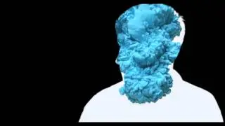 Double Exposure Experiment