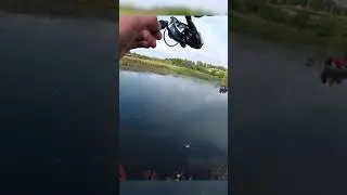 Крупный окунь на мормышку | Мормышинг