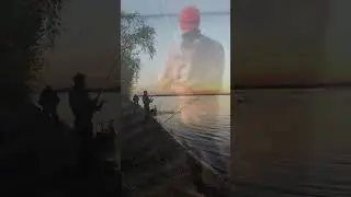Ловим Леща на фидер