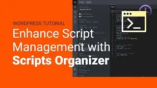 Manage Scripts with Scripts Organizer | WordPress Plugin