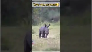 Чуть не упал #funny