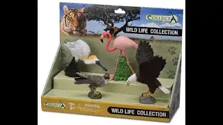 Collecta unboxing Wild Birds Box😍!!