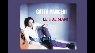 LE TUE MANI                               antonio padalino