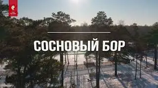 База отдыха «Сосновый бор»