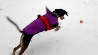 Random Stuff - Sugar And Snow