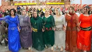 عروسی کردی | قشنگترین رقص کوردی 2024 | خۆشترین گۆرانی هەڵپەڕکێی کوردی