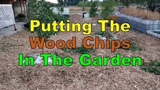 No. 1256 – Putting Wood Chips Down In The Garden