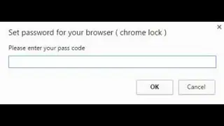 How to Set browser Password In Google Chrome browser