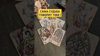 Сама судьба говорит тебе... #shorts