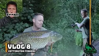 Cottington Lakes | New Pepper | Carp Fishing | Chasing the 40lb Carp Vlog 8