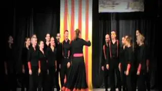 CAJE SUKARIJE - Dragan Suplevski