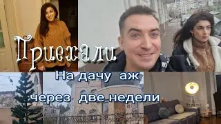 Что нас ждало на Даче через  две недели Отсутствия!, Наконец-то  убрали Ёлки!