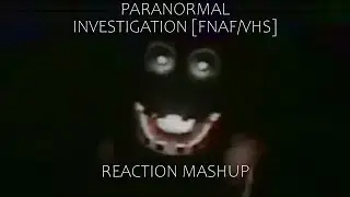 Reaction Mashup: 'Paranormal Investigation [FNAF/VHS]' by @SpectreAnimations