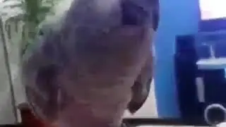 Почукай.