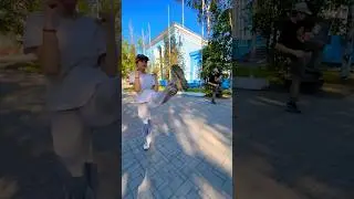 В рамках подготовки спортсменов сборной к экзамену на пояса