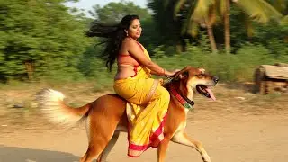 Beautiful women ride a German Shepherd Riding a dog 