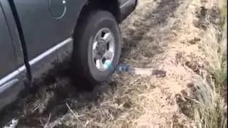 The idea when you downl