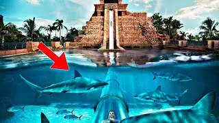 Top 5 MOST TERRIFYING Waterslides