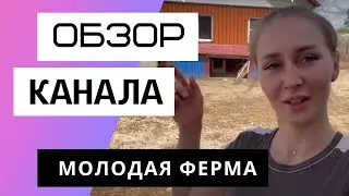 Молодая Ферма - Обзор канала