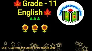 Grade -11, Unit-7, Systems and Organs of the Human Body, 