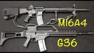 G36 (T36) vs M16A4