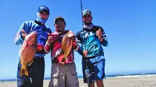 Pesca de PARGO en playa de Mazatlan con mis compás Isrra Fishing y Ulises Lopez