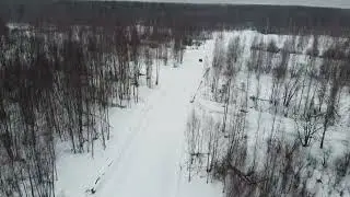 Синицыно
