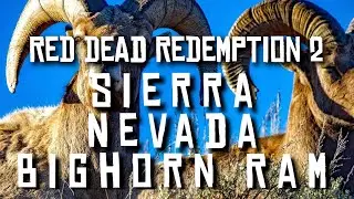 Sierra Nevada Bighorn Ram - Red Dead Redemption 2 (RDR2) 
