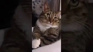 Есть мысль🤔
